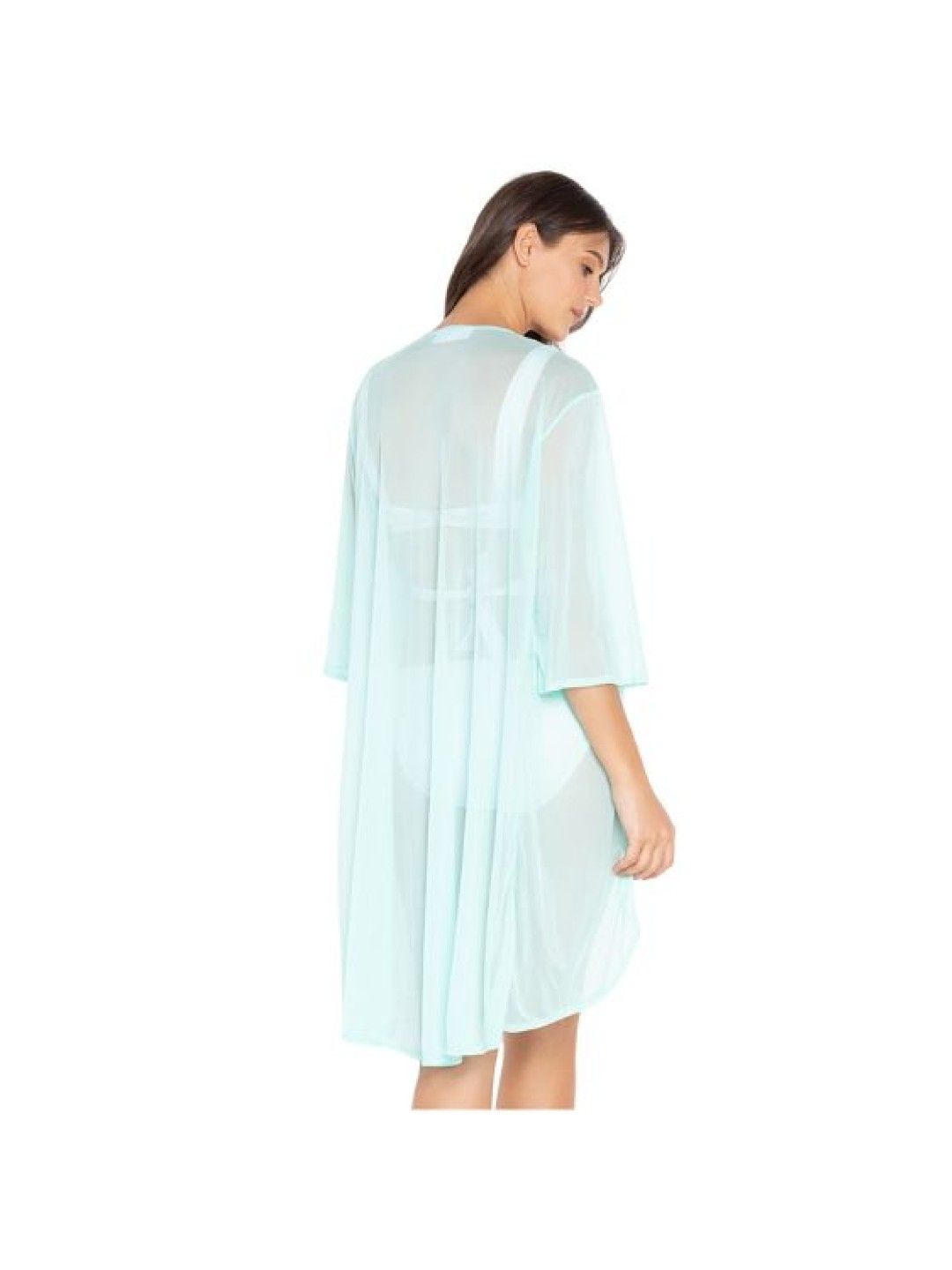 Regina Sheer Cover Up Dress