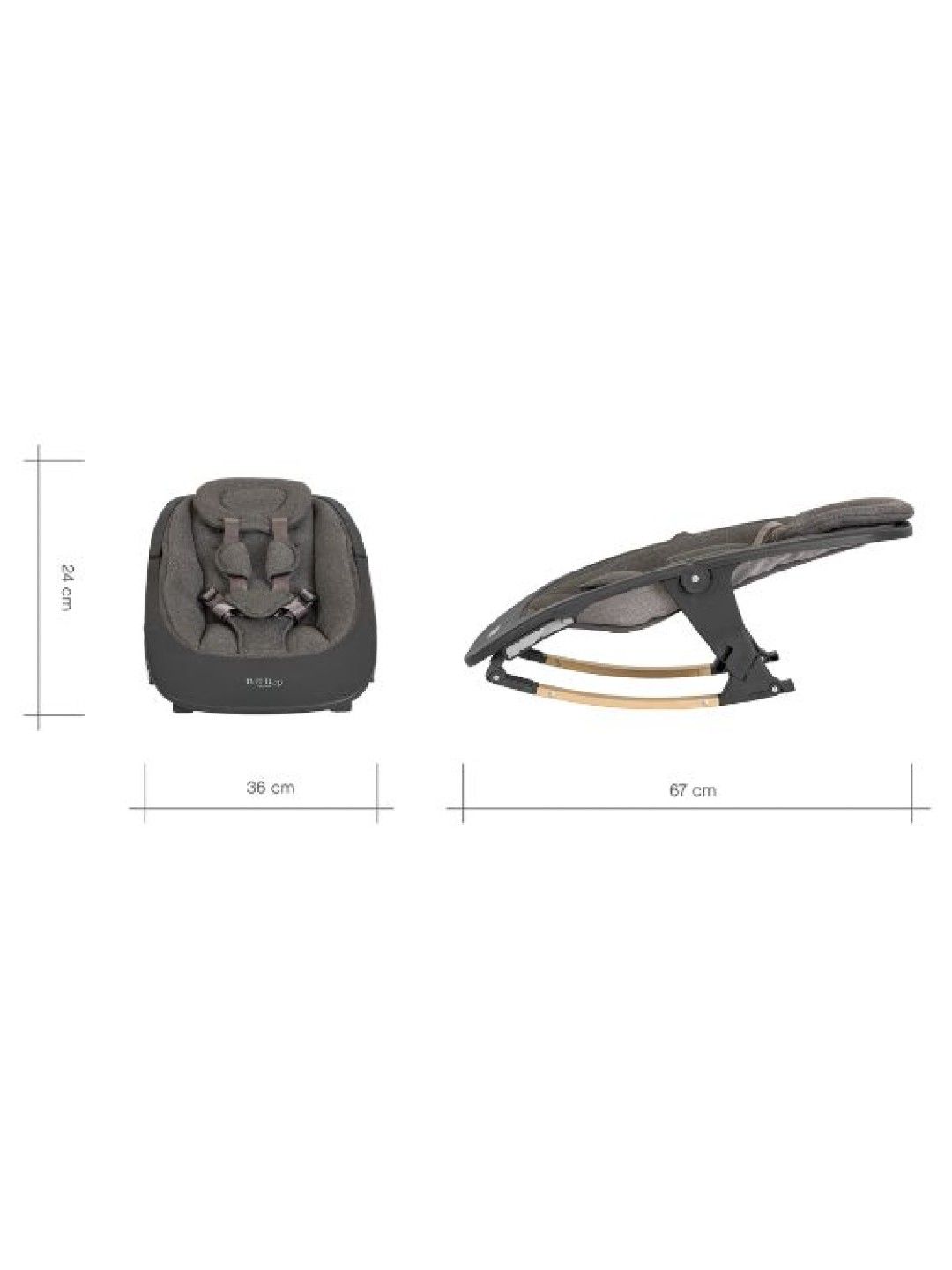 Nova Evolutionary Rocker