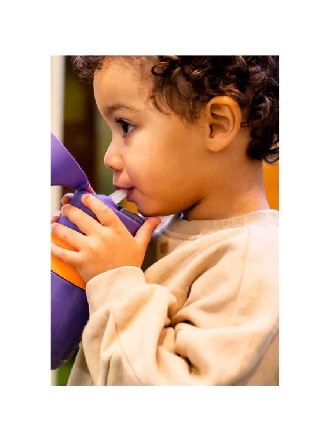Superstar Flip Top Sportee Cup Bottle (500ml) - Purple
