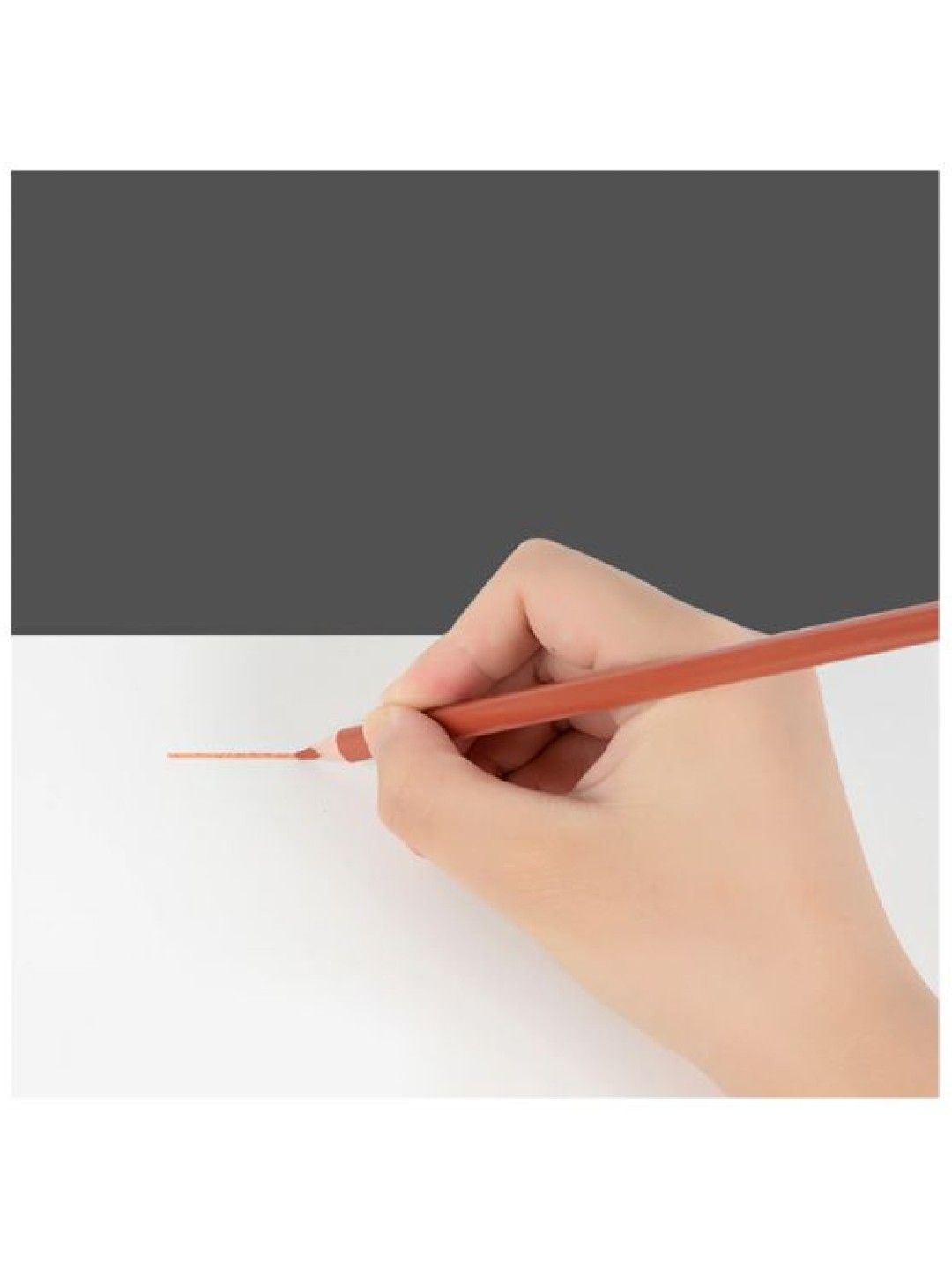 WE-TRI Erasable Color Pencils (12 Colors)