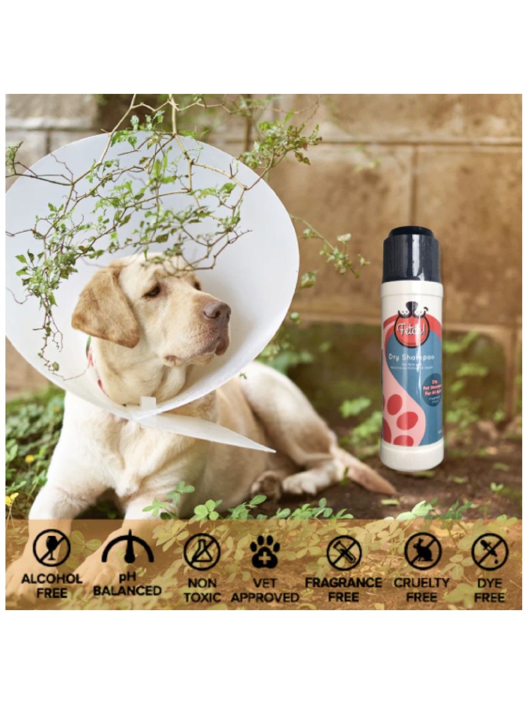 Natural Persimmon Dry Shampoo for Pets (100g)