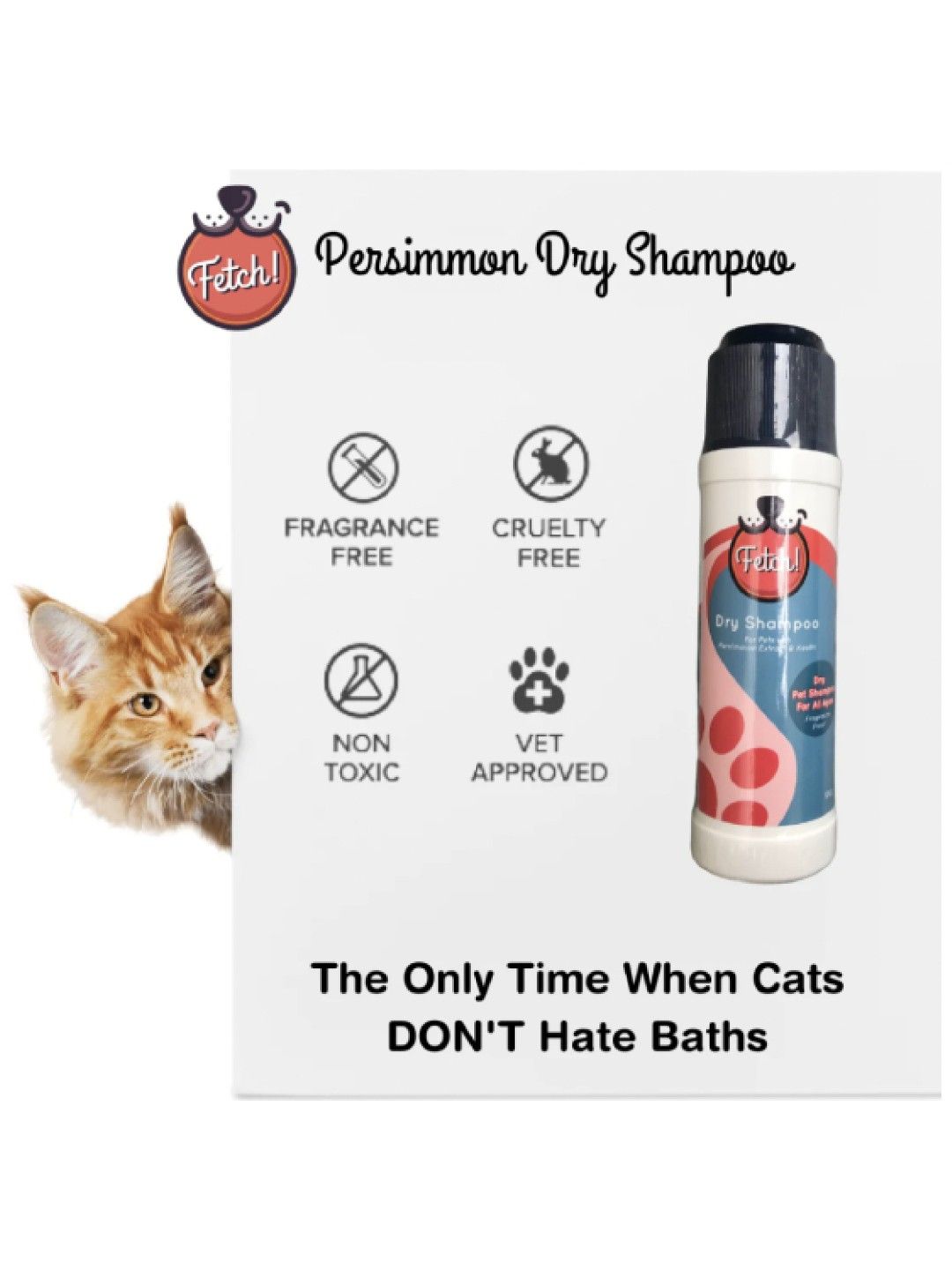 Natural Persimmon Dry Shampoo for Pets (100g)